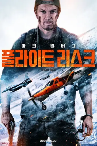 Flight Risk poster
