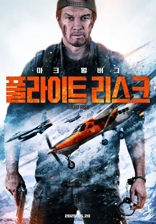 Flight Risk poster