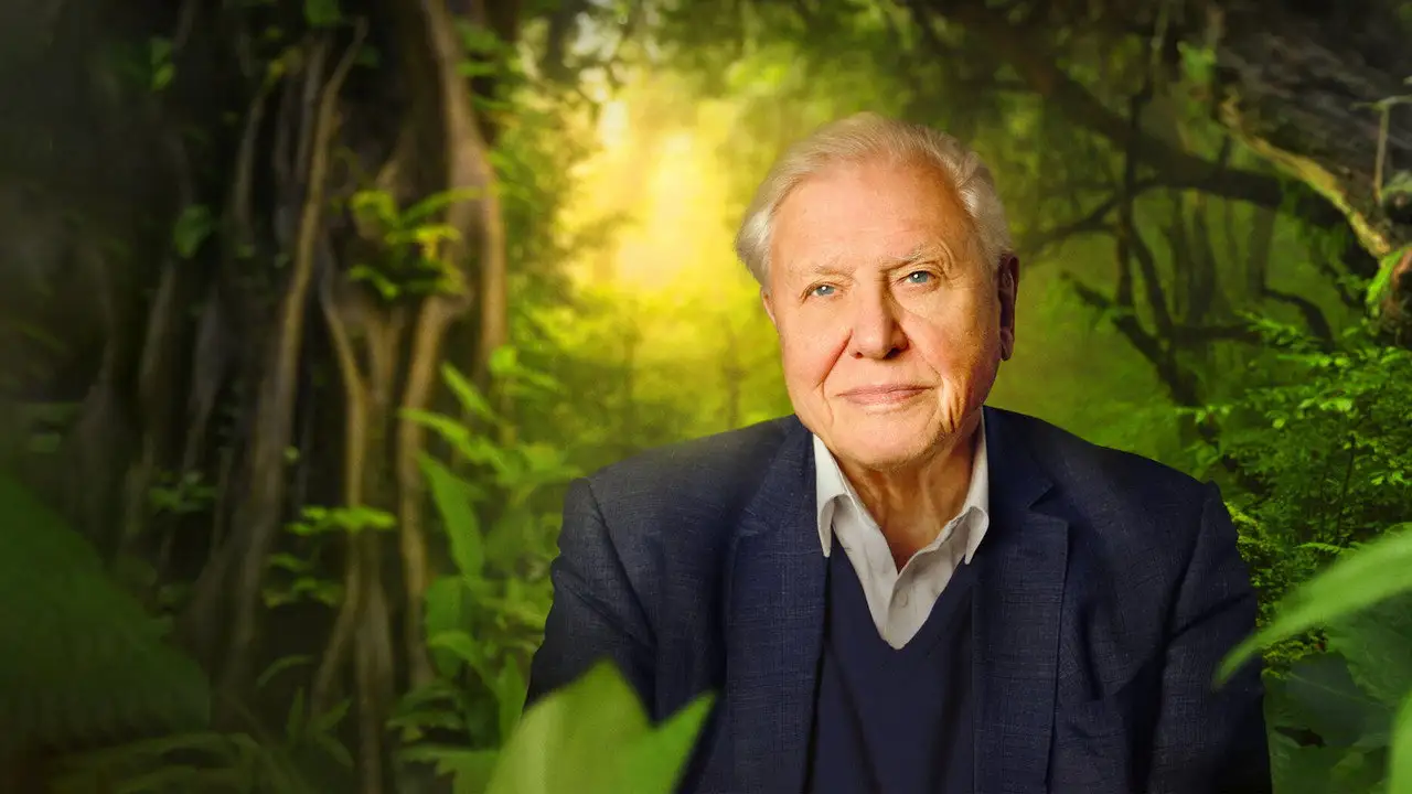 David Attenborough: A Life on Our Planet wallpaper