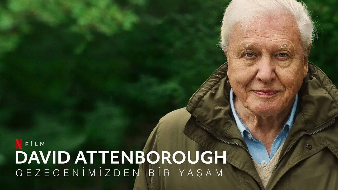 David Attenborough: A Life on Our Planet wallpaper