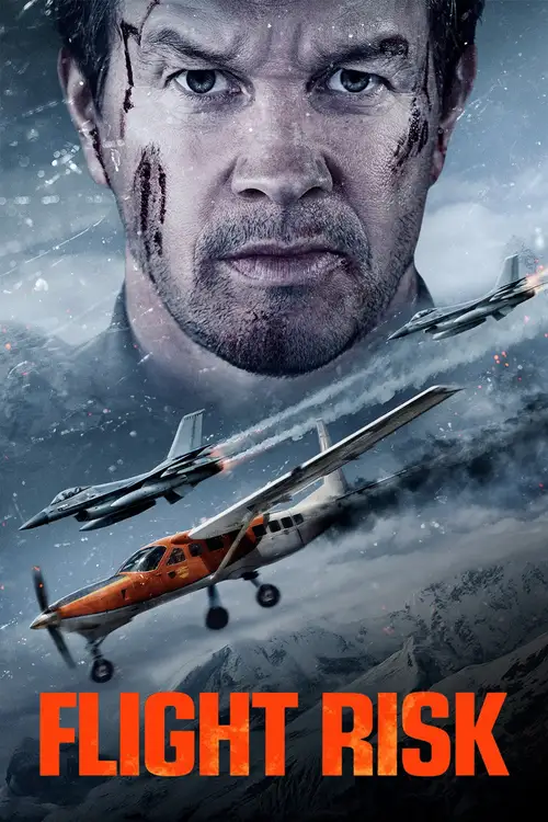 Flight Risk poster
