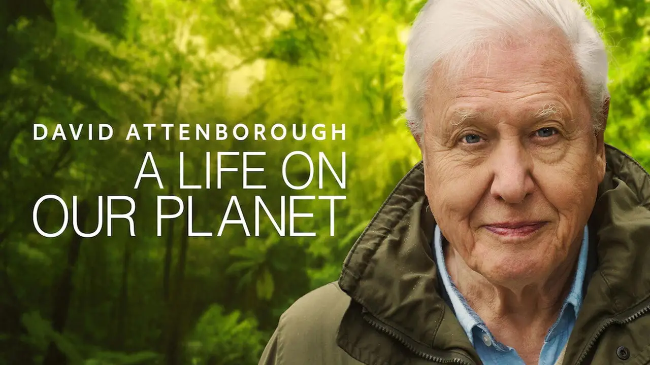David Attenborough: A Life on Our Planet wallpaper