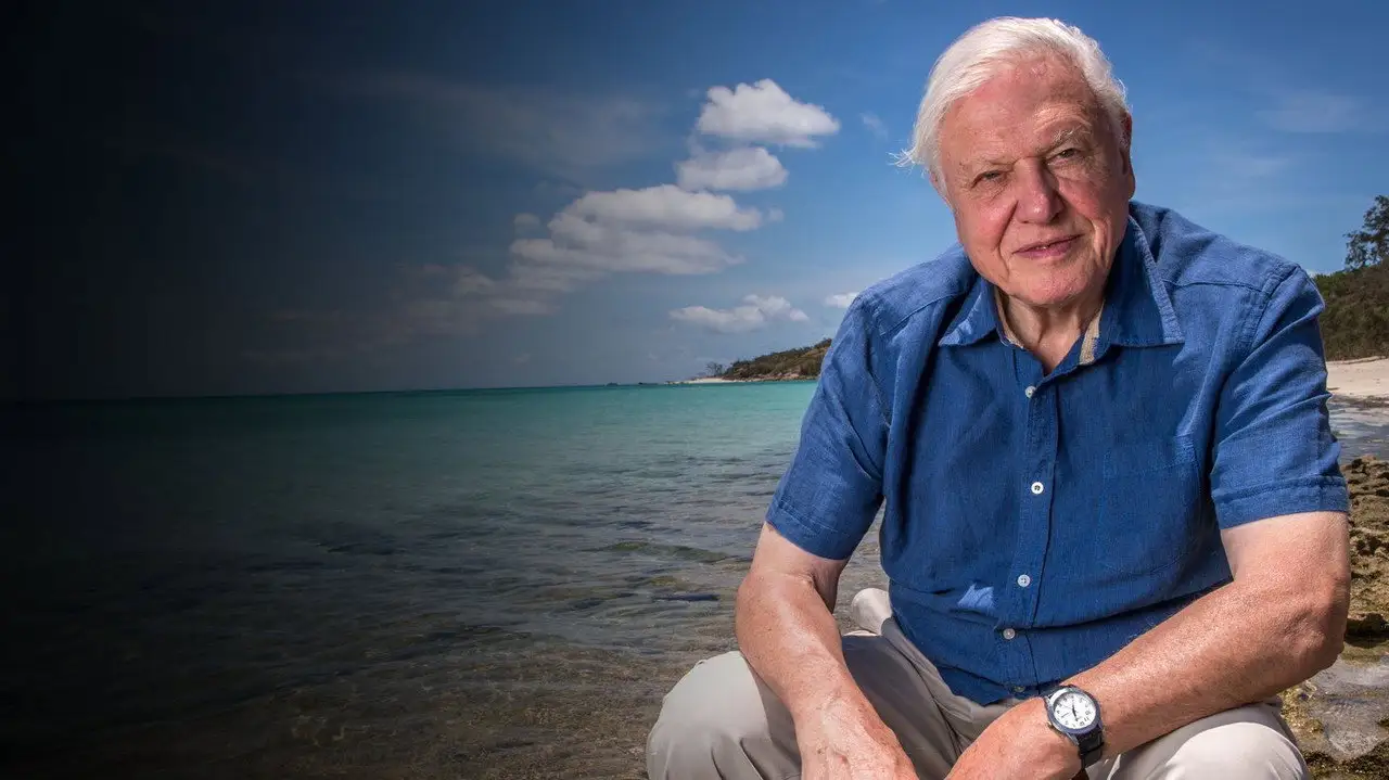 David Attenborough: A Life on Our Planet wallpaper