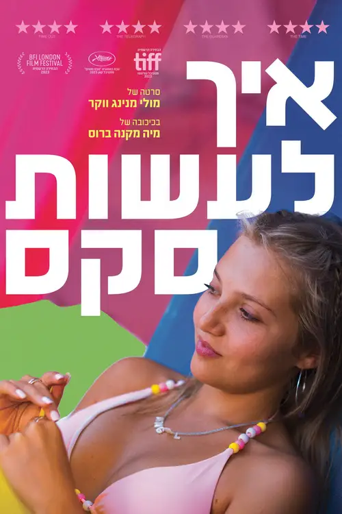How to Have Sex poster