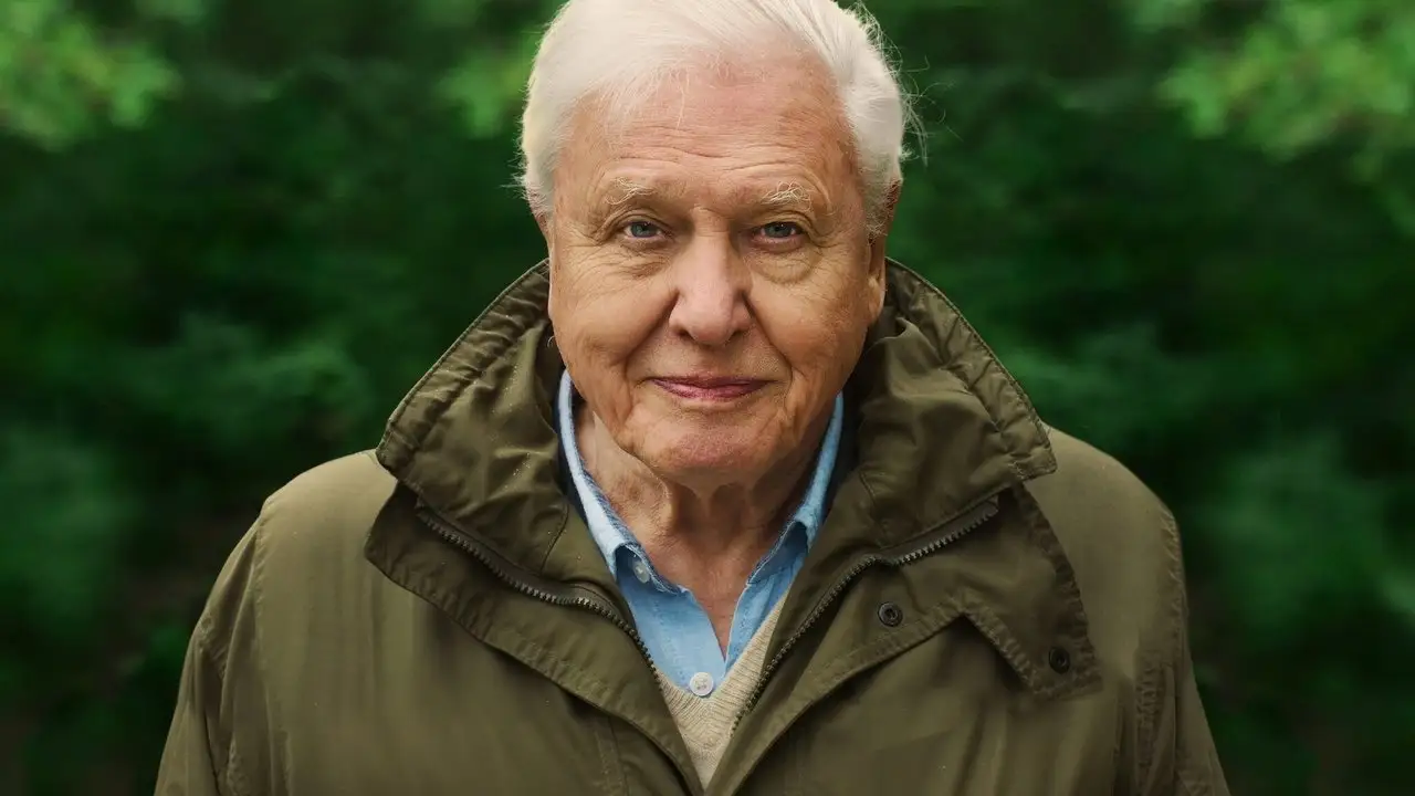 David Attenborough: A Life on Our Planet wallpaper