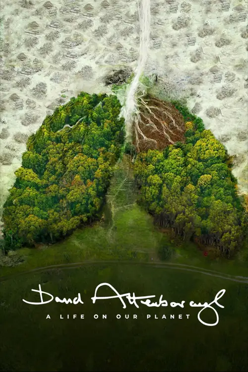David Attenborough: A Life on Our Planet poster