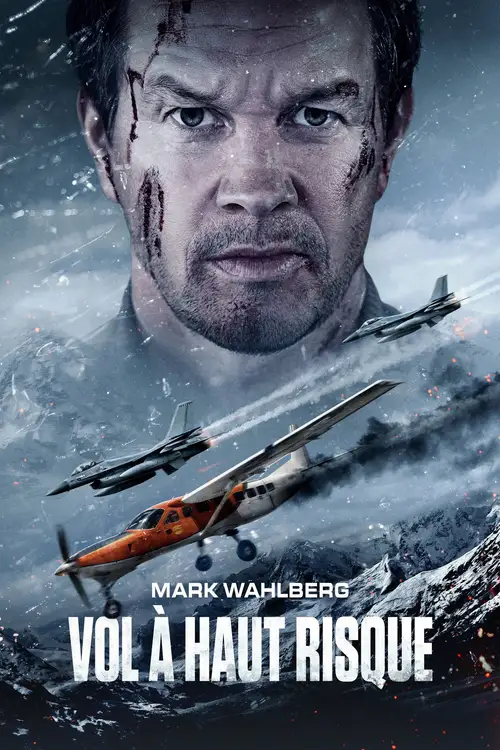 Flight Risk poster