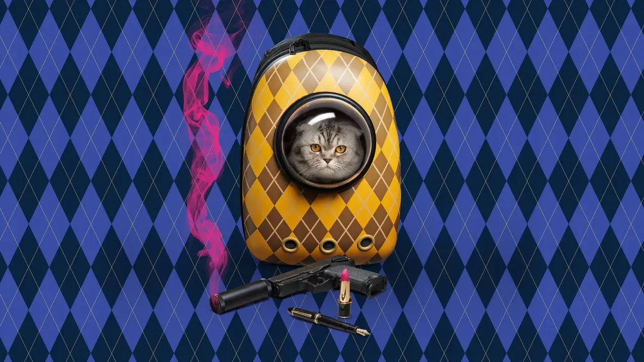 Argylle wallpaper