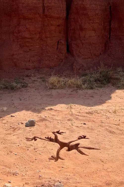 Coyote vs. Acme poster