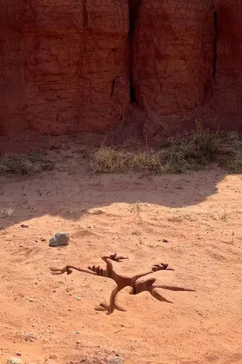 Coyote vs. Acme poster