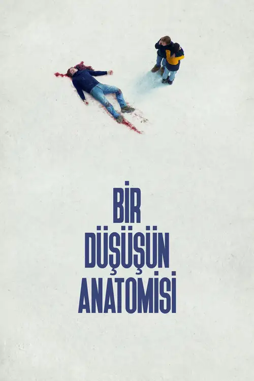 Anatomy of a Fall poster