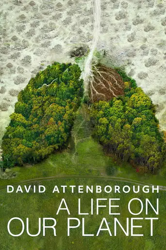 David Attenborough: A Life on Our Planet poster David Attenborough: A Life on Our Planet poster