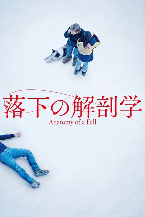 Anatomy of a Fall poster