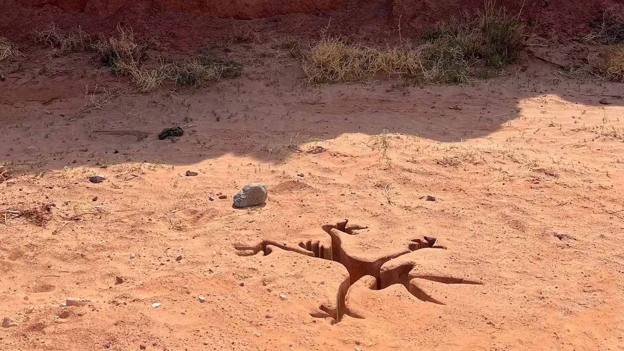 Coyote vs. Acme wallpaper