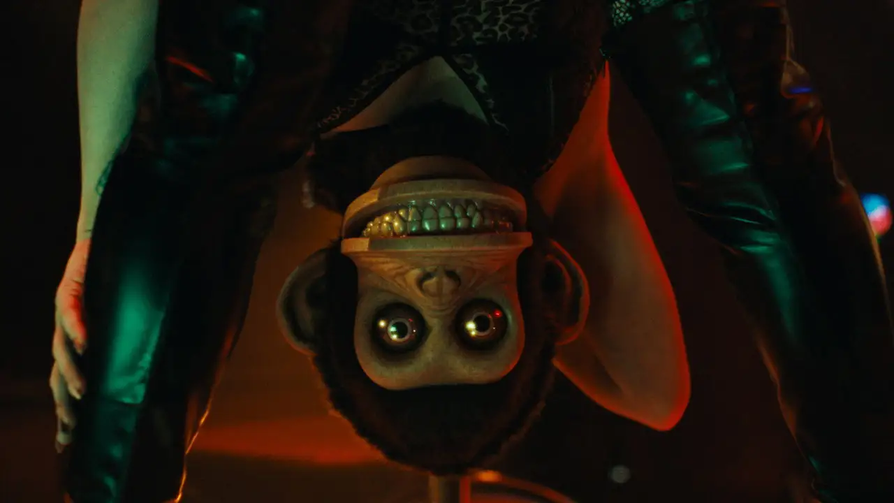 The Monkey wallpaper
