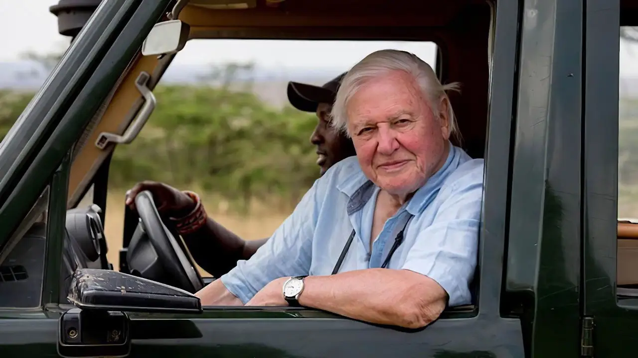David Attenborough: A Life on Our Planet wallpaper