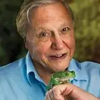David Attenborough profile David Attenborough profile