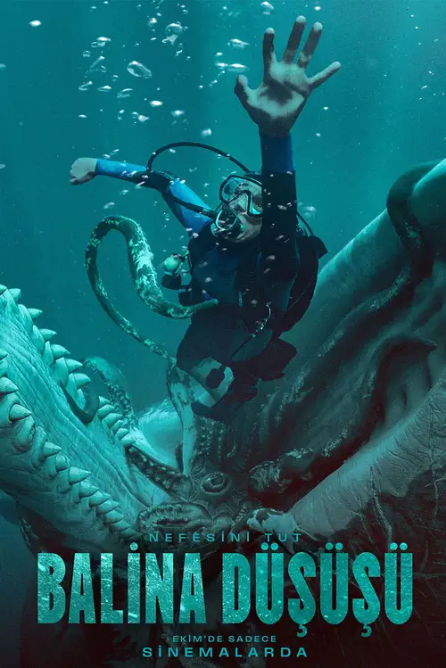 Whalefall poster