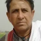 Shafqat Cheema profile Shafqat Cheema profile