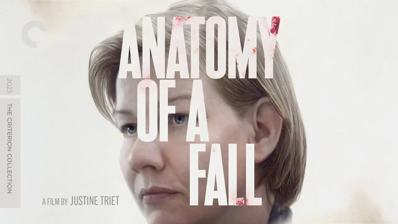 Anatomy of a Fall wallpaper